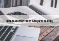 家乐福区块链公司怎么样[家乐福业态]